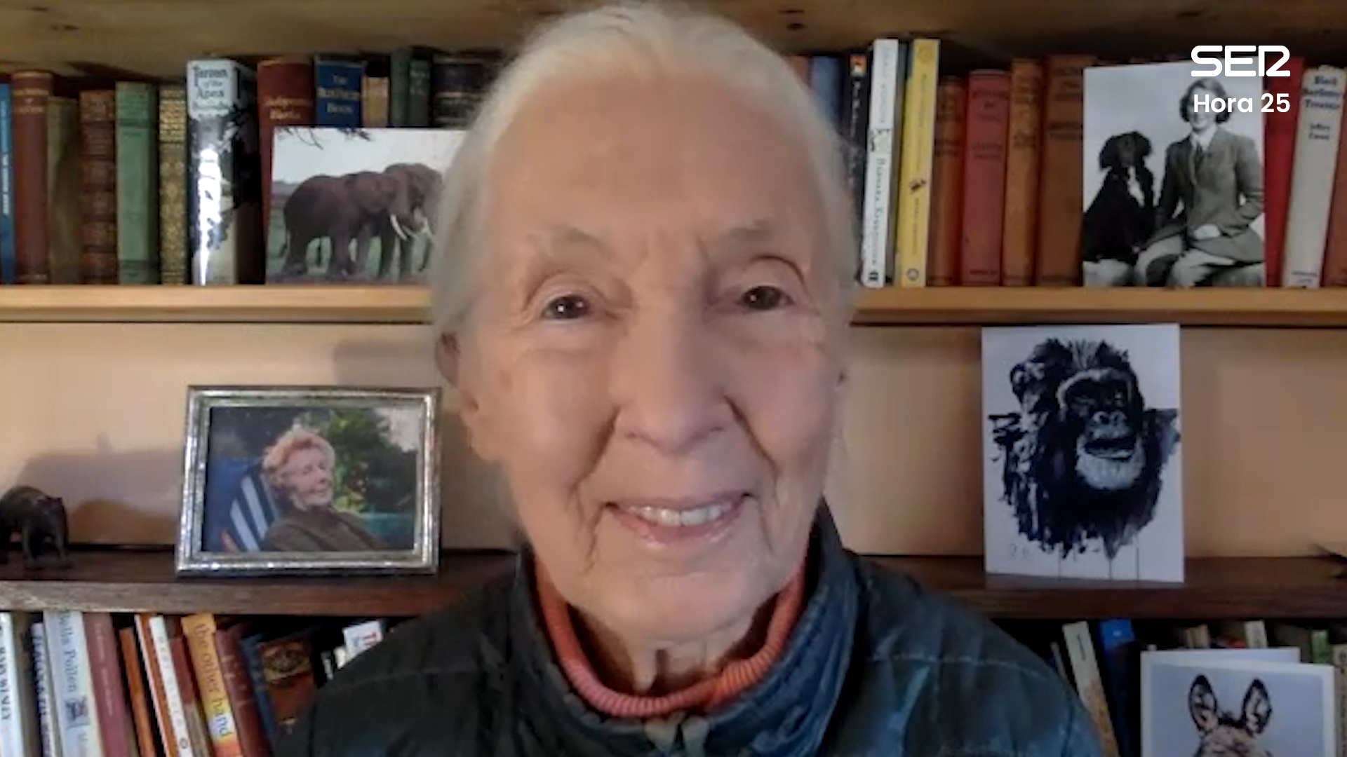 jane goodall SER