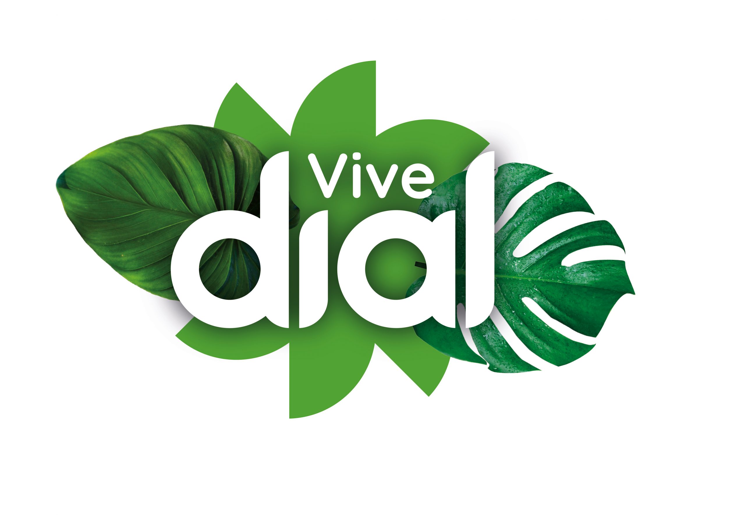 Vive Dial